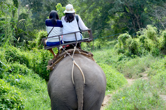 mercredie-blog-mode-voyage-thailande-elephants-chiang-mai-3