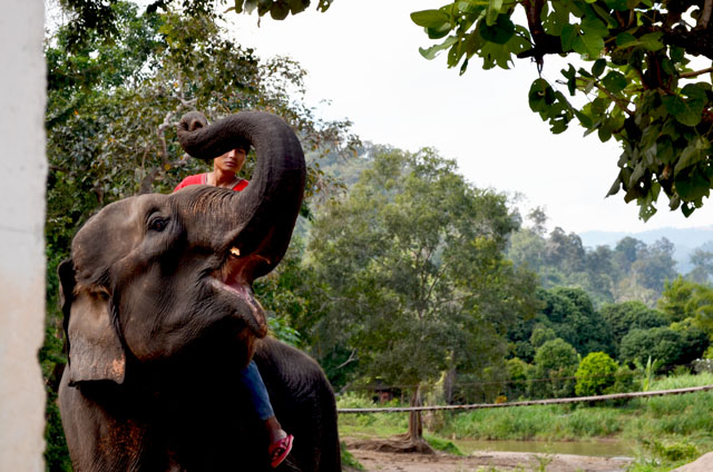 mercredie-blog-mode-voyage-thailande-elephants-chiang-mai-4