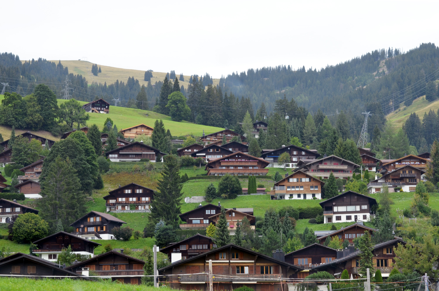 mercredie-blog-blogger-geneve-suisse-voyage-my-switzerland-grand-tour-roadtrip-europcar-accor-paysage-view-pre-prairie-montains-montagne-gstaad2